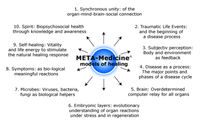 META-Medicine Model, META-Health, Self Healing, EFT, Adam Oldmeadow, Melbourne, Australia, CFS, Traumatic Memory